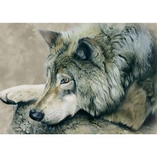 TREE FREE On The Edge